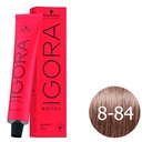 [IGORA_ROYAL-05385] OUTLET Schwarzkopf Igora Royal Tinte Permanente 8-84 - Rubio Claro Rojo Beige 60 ml